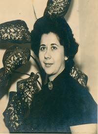 02 maria aparecida luz ferreira alves